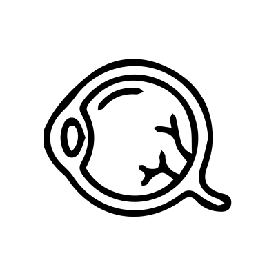 Optische Cohärenztomographie (OCT)